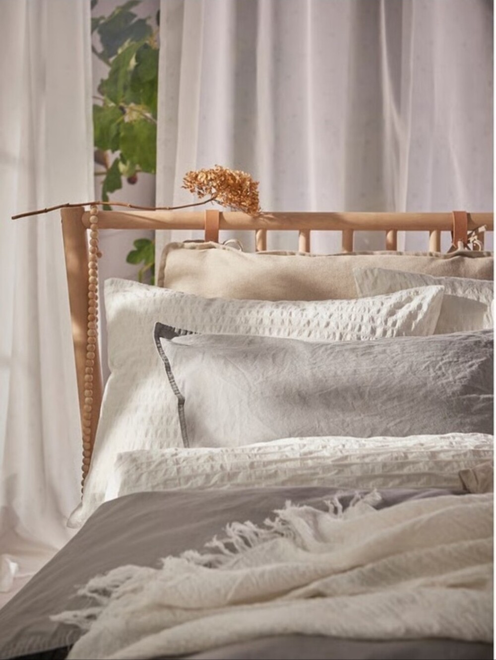 OFELIA VASS Cotton Comforter set with Cream Throw Blanket